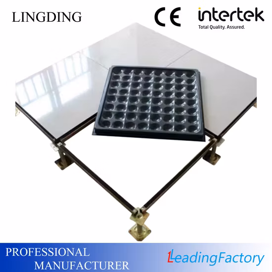 600X600mm 24′ ′ X24′ ′ HPL Finish Antistatic Steel Raised Access Flooring for Data Center Server Room Network Raised Floors